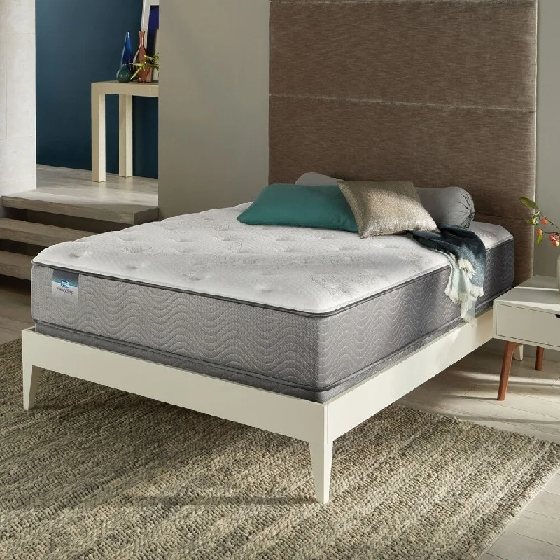 BeautySleep Kerri 12-inch Luxury Queen-size Firm Innerspring Mattress Set - N/A