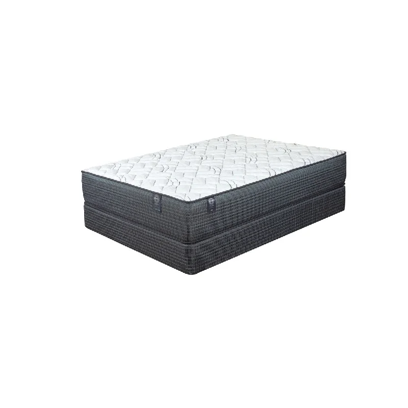 Comfort Care Integrity 13.5-inch Firm Mattress By Restonic